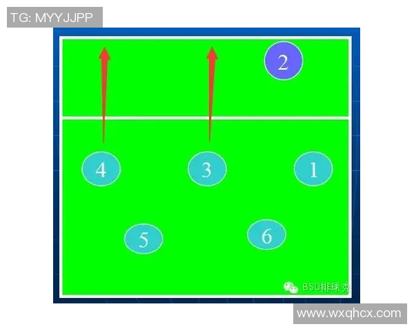 深圳排球队节奏对比分析揭示战术优势与不足之处