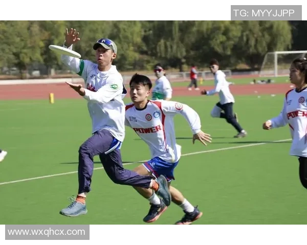 飞盘深度：解密深圳飞盘队的转换