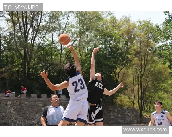 篮球纪实：记录南京篮球队的奋斗经历_1